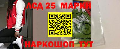 ГАЛЛЮЦИНОГЕННЫЕ ГРИБЫ Донской