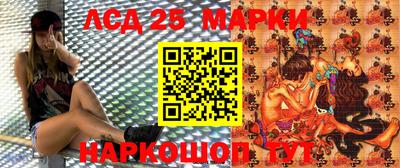 МДПВ Дубна