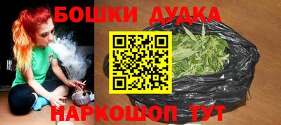 МДПВ Дубна