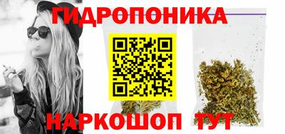 МДПВ Дубна
