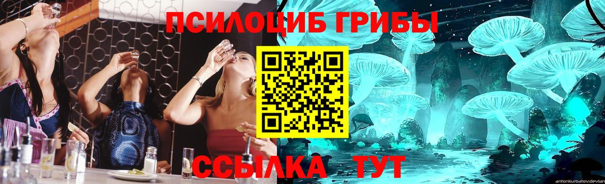 Псилоцибиновые грибы Psilocybine cubensis  Вход с VPN  Лениногорск  Галлюциногенные грибы Psilocybe 